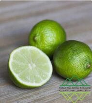 الليمون البرازيلي
Brazilian Lime - Image 5