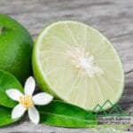 الليمون المحلي
Local Lemon