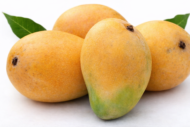 مانجو ألفونسو Alphonso Mango