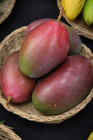 مانجو أوستين‏Osteen Mango