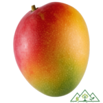 مانجو أبل‏ تشيلي