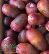 ونانة - Image 5