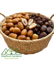 أزرق الازرق