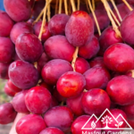 الجوزي الاحمر