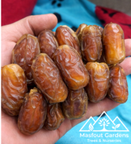 ⁦الحساوي⁩ - الصورة ⁦2⁩