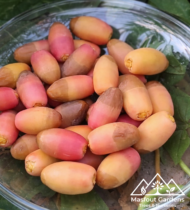 ⁦أم الدهن⁩ - الصورة ⁦5⁩