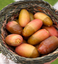 ⁦أم الدهن⁩ - الصورة ⁦8⁩