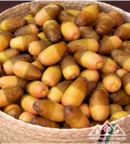 ⁦أم الدهن⁩ - الصورة ⁦11⁩