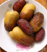 ⁦نبتة سَلْمى⁩ - الصورة ⁦3⁩