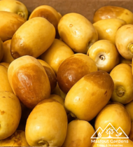 ⁦زاملي⁩ - الصورة ⁦7⁩