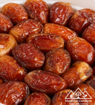 ⁦زاملي⁩ - الصورة ⁦6⁩