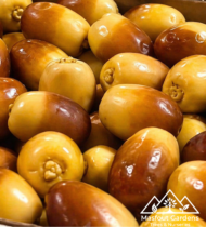 ⁦زاملي⁩ - الصورة ⁦5⁩