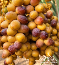 ⁦زاملي⁩ - الصورة ⁦4⁩