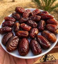 ⁦الفرض⁩ - الصورة ⁦5⁩