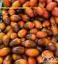 ⁦الفرض⁩ - الصورة ⁦8⁩