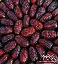 ⁦الفرض⁩ - الصورة ⁦9⁩