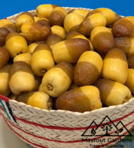 ⁦صمود⁩ - الصورة ⁦12⁩