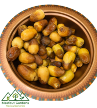 ⁦برني العيص⁩ - الصورة ⁦6⁩