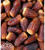 ⁦برني العيص⁩ - الصورة ⁦7⁩