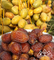 ⁦المجدول⁩ - الصورة ⁦5⁩