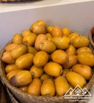 ⁦المجدول⁩ - الصورة ⁦6⁩