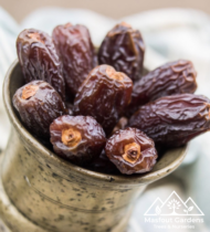 ⁦المجدول⁩ - الصورة ⁦7⁩