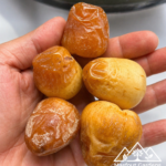 نبتة الشيخ محمد بن زايد