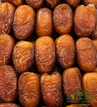 ⁦الدباس⁩ - الصورة ⁦6⁩