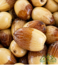 ⁦الدباس⁩ - الصورة ⁦7⁩