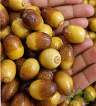 ⁦الدباس⁩ - الصورة ⁦8⁩