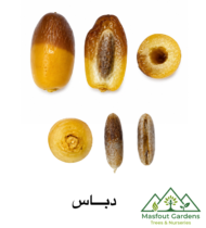 الدباس - Image 2