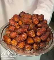 ⁦نوادر⁩ - الصورة ⁦6⁩