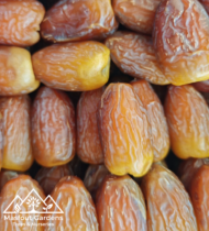 ⁦نوادر⁩ - الصورة ⁦7⁩