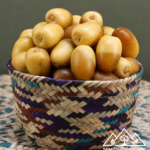 ابوبديع