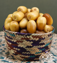 ابوبديع