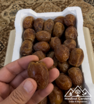 ⁦ابوبديع⁩ - الصورة ⁦3⁩