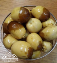⁦هلالي⁩ - الصورة ⁦9⁩