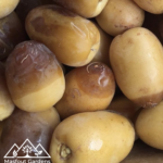 نبتة المزروعي