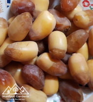 حلاوي