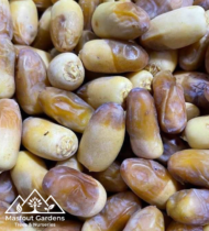 ⁦حلاوي⁩ - الصورة ⁦8⁩