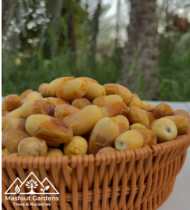 ⁦حلاوي⁩ - الصورة ⁦3⁩