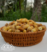 ⁦حلاوي⁩ - الصورة ⁦4⁩