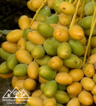روبي - Image 3