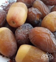 بريم