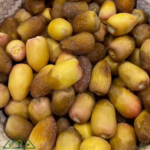 بريم