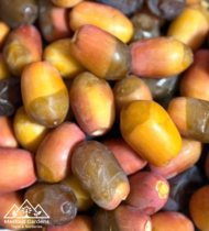 ⁦رحمة⁩ - الصورة ⁦2⁩
