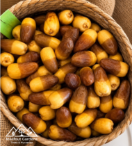 ⁦خلاص ملكي⁩ - الصورة ⁦11⁩