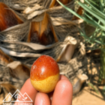 هلالي صيني