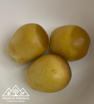 ⁦هلالي صيني⁩ - الصورة ⁦6⁩