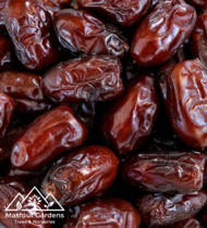 ⁦فرض أبيض⁩ - الصورة ⁦2⁩